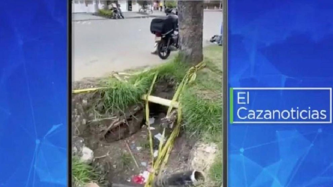 El Cazanoticias: Derrumbe de un árbol en la localidad de Engativá, significaría un peligro para la comunidad