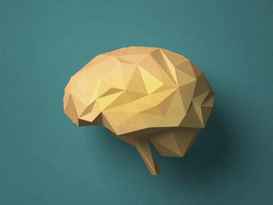 Comment les fake news influencent l'évolution de notre cerveau