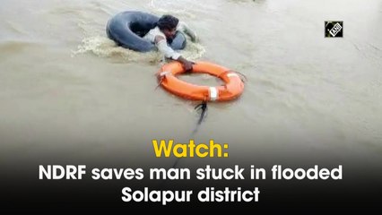 Watch: NDRF saves man stuck in flooded Solapur district