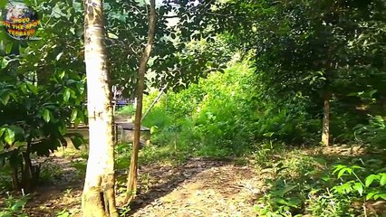 Periksa Gubuk di Pinggir Hutan, Petugas Terkejut Melihat Orang Lakukan Hal ini Didalamnya..