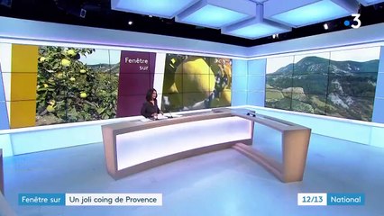Agriculture : en Provence, le renouveau du coing