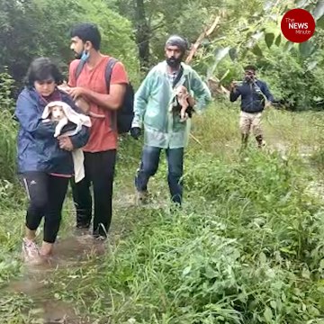 Livestock and stray animals affected by Hyderabad rains rescued by volunteers
