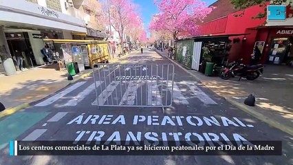 Los centros comerciales de La Plata ya se hicieron peatonales