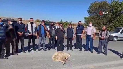 Yeni kazalar yaşanmasın diye kurban kesip dua ettiler