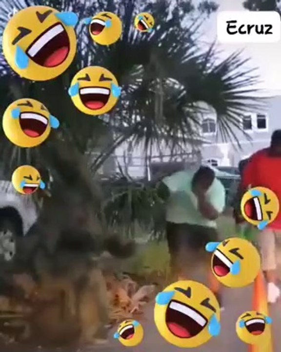 compilado de tik tok