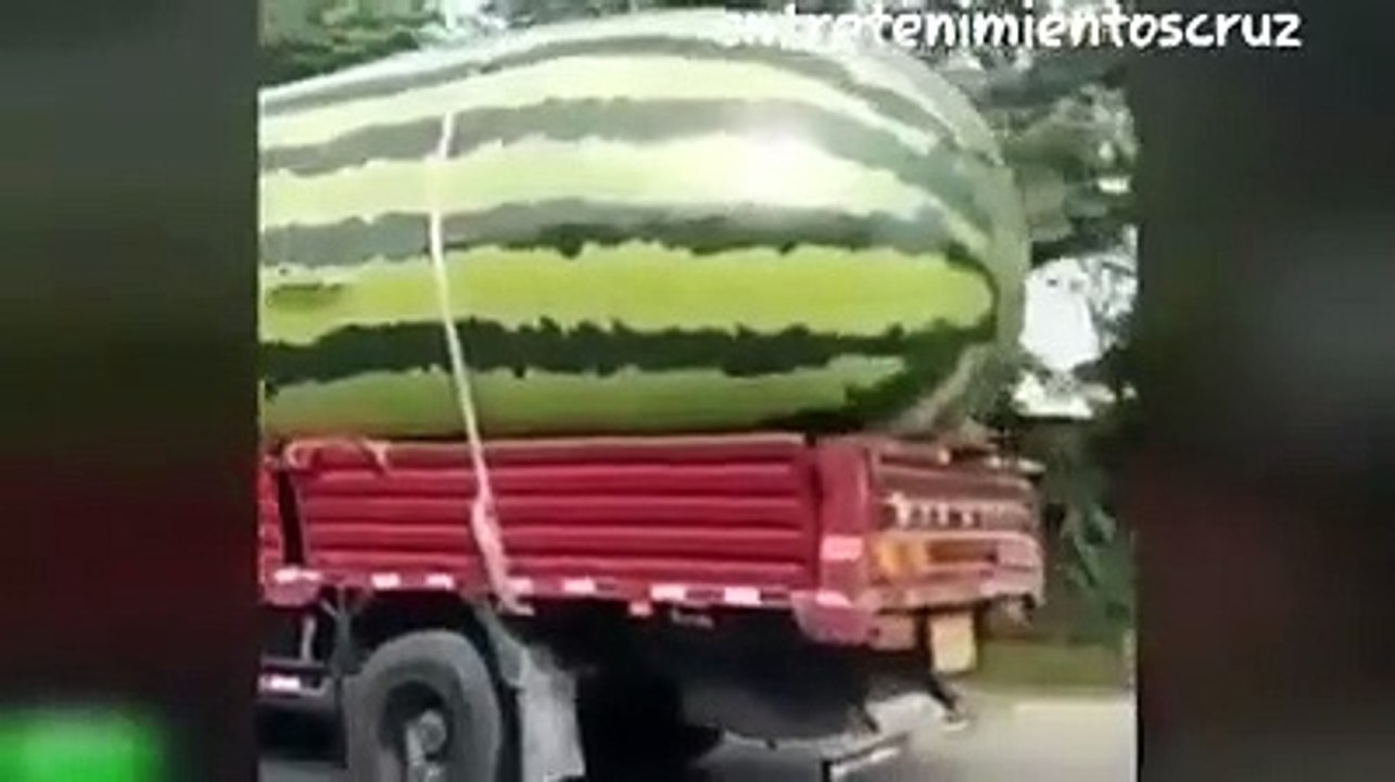 si te reis perdes