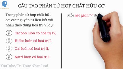 Hợp chất hữu cơ là gì?