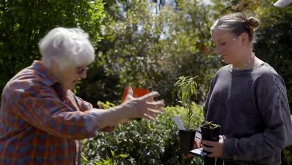 Investigating the response to deadly fire season