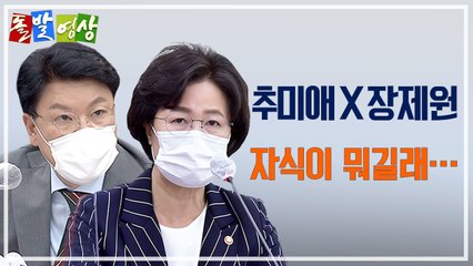 [주간 돌발영상] 2020년 10월 셋째 주  / YTN