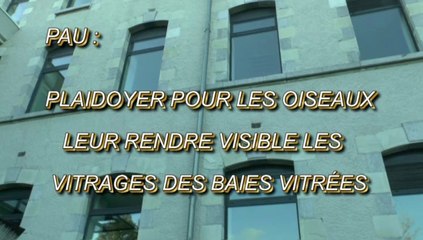 LES SCOOPS DE MICHOU64 W-D.D. - 16 OCTOBRE 2020 - PAU - PLAIDOYER POUR LES OIDEAUX LEUR RENDRE VISIBLE LES  VITRAGES DE L'ÉCOLE DE MUSIQUE ET DE DANSE