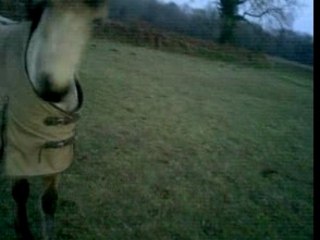 Odyssée jambette (pas très motivée à droite^^)