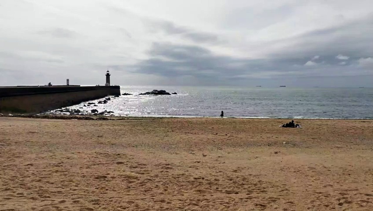 Beach - Nature (Creative Common Video 148)