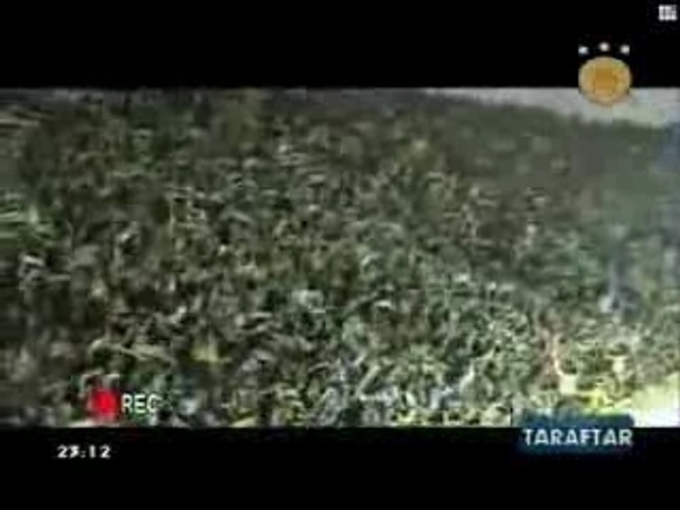 Ambiance Supporters Fenerbahce Vs FC Seville