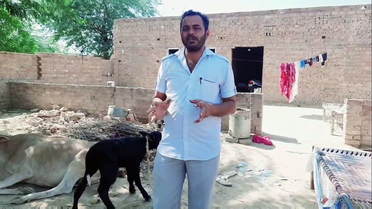 जानवरों के छोटे बच्चों को टिटनेस कैसे होती हैं।आओ जानें।