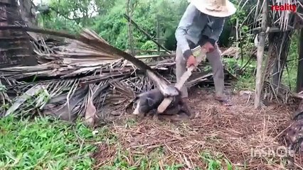 Insurance || Real Estate || Car Insurance || Airline || Investment || Export ||