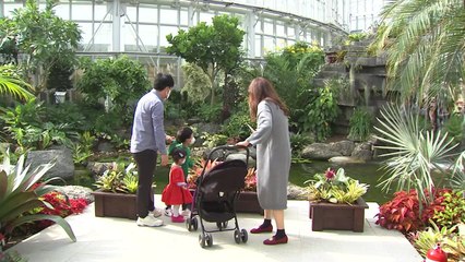 국립 세종수목원 개장...마스크 쓰고 가을 나들이 / YTN