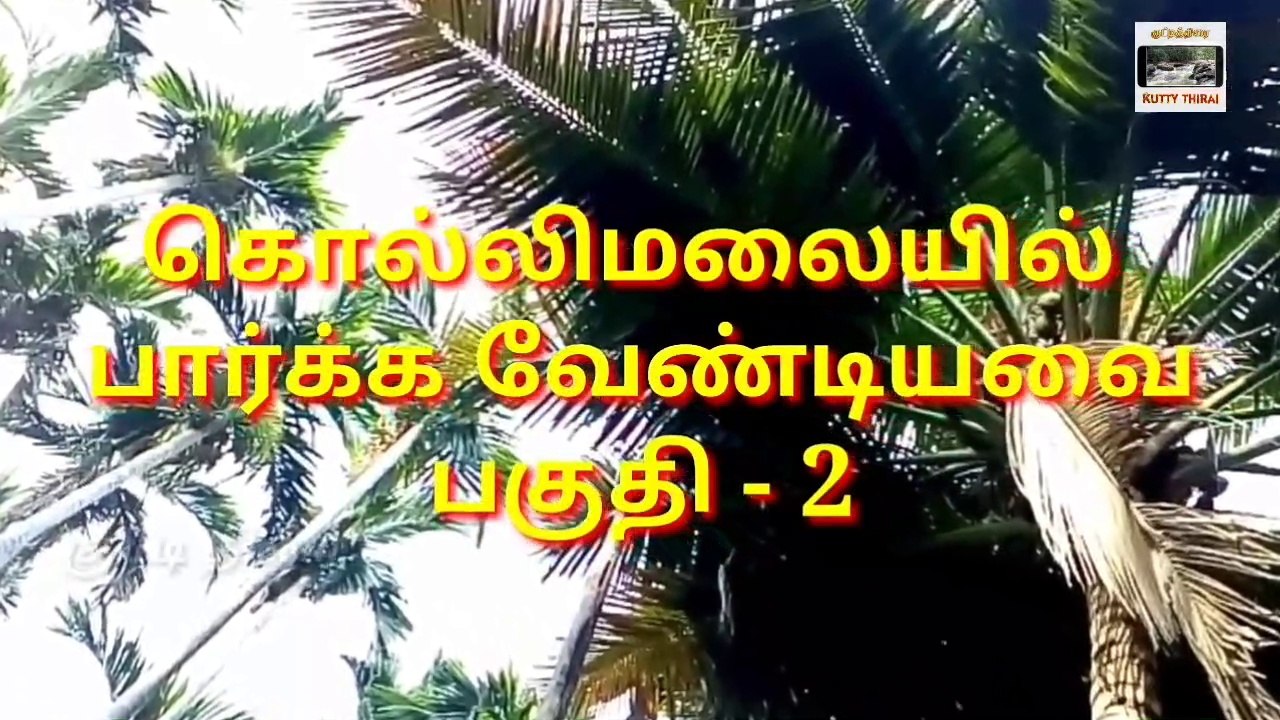 கொல்லிமலையில் பார்க்க வேண்டியவை பகுதி - 2  places to visit in kollimalai hills! part - 2