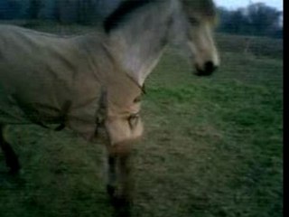 Odyssée jambette (pas motivée à droite^^)