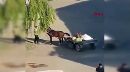Iğdır'da hayvana şiddet; yorgun ata demir çubukla vurdu!