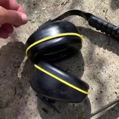 Il trouve une énorme araignée sparassidae dans ses écouteurs  (vidéo)