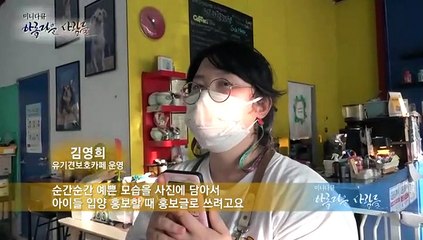 [미니다큐] 아름다운 사람들 - 120회 : 유기견들에게 새 삶을~ 진짜 가족을 찾아서