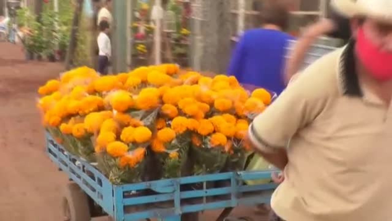 México se prepara para celebrar un Día de los Muertos especial y anómalo