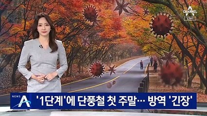 ‘거리두기 1단계’ 첫 주말…단풍 행락객에 방역 ‘긴장’