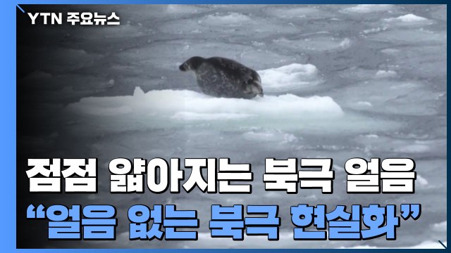 북극 얼음 얇고 취약해져... 얼음 없는 북극 현실화될 것 / YTN