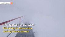 What's it like to walk in Antarctica amid 120 mph wind gusts