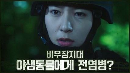 비무장지대 야생동물에게 전염병이? 조사 나선 정수정