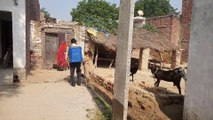 नवाबगंज गांव ककिउली में कोरोना मरीज निकलने से मचा हड़कंप, कराया गया छिड़काव