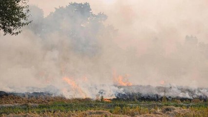 Blame game continues over stubble burning
