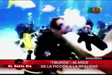 Los 40 años de 'Tiburón': cuando la ficción se convierte en realidad