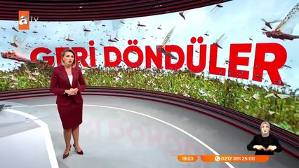 Dünyayı bekleyen yeni tehlike!