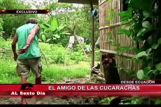 El amigo de las cucarachas: conoce al hombre que se alimenta con insectos