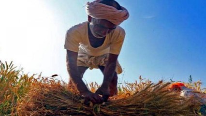 Bihar elections 2020: What is the mood of farmers?