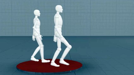 walking 2 - SFM Animation test