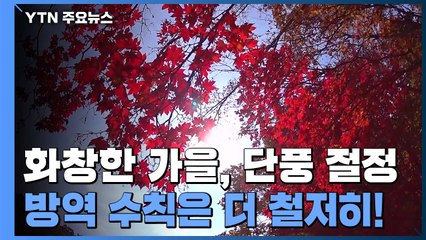 화창한 가을, 단풍 절정...방역 수칙은 더 철저히! / YTN