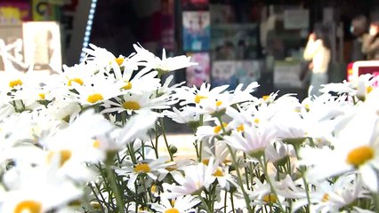 [날씨] 휴일 맑고 선선한 날씨..."생활 속 거리 두기 지켜요" / YTN