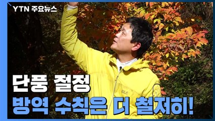 화창한 가을, 단풍 절정...방역 수칙은 더 철저히! / YTN