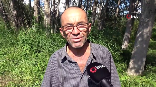 'Kadife' adlı eşek 5 kişilik ailenin geçim kaynağı oldu