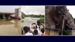 #HyderabadFloods:Golconda Fort Wall Collapses బాలానగర్ చెరువుకు గండి, ప్రమాద స్థాయికి ఉప్పల్ చెరువు