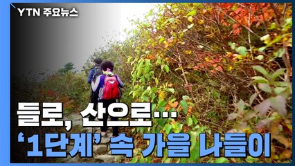 들로, 산으로...'거리두기 1단계' 속 가을 나들이 / YTN