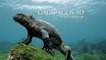 Galapagos - 2of3 - ADAPTATION - David Attenborough HD
