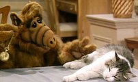 Alf - extrait de la série - Alf hypnotise le chat: tu n'es plus un chat, tu es une madeleine!