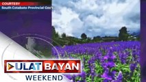 Eden's Flower Farm sa South Cotabato, muling binuksan sa publiko