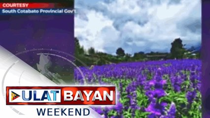 Download Video: Eden's Flower Farm sa South Cotabato, muling binuksan sa publiko