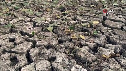 'Kuş cenneti'nde sular çekildi, çöpler gün yüzüne çıktı