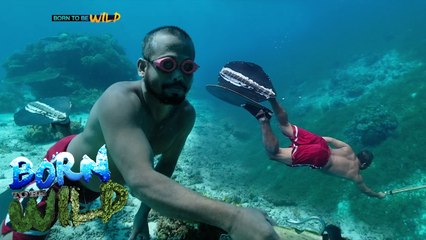 Born to be Wild: Spearfishers of Santander, Cebu