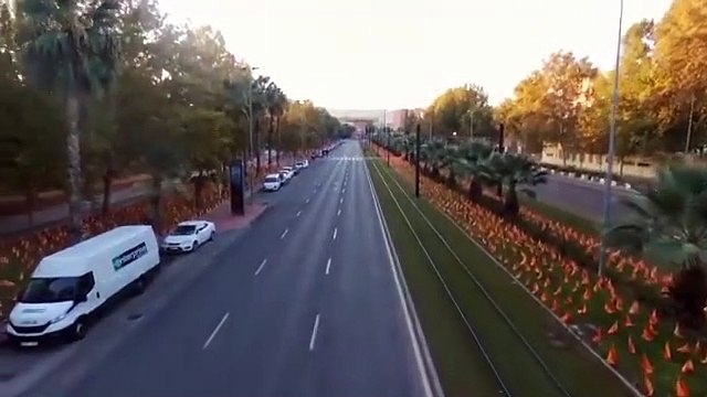 Murcia amanece con más de 56.000 banderas de España en recuerdo a las víctimas del covid-19